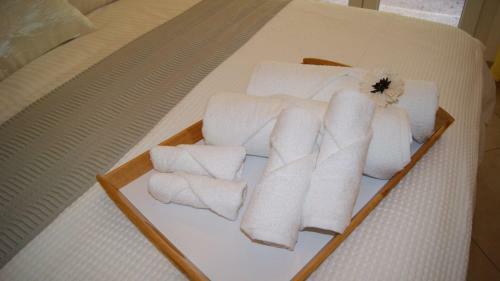 Brand New Luxury Apartment