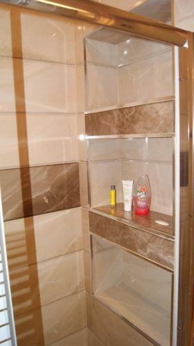 Brand New Luxury Apartment