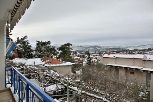 Panorama View Apartment