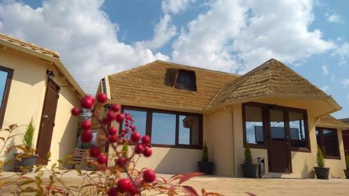 Apartamento Ask Cozy Rooms