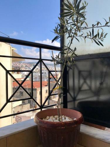 Apartamento Konstantina's Studio Skg