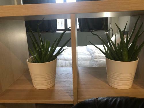 Apartamento District 01-luxury Urban Lofts
