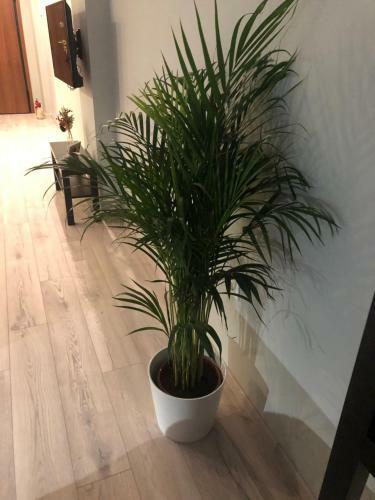 Apartamento District 01-luxury Urban Lofts