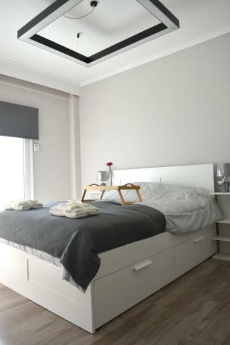 Chic & Cozy Apartment