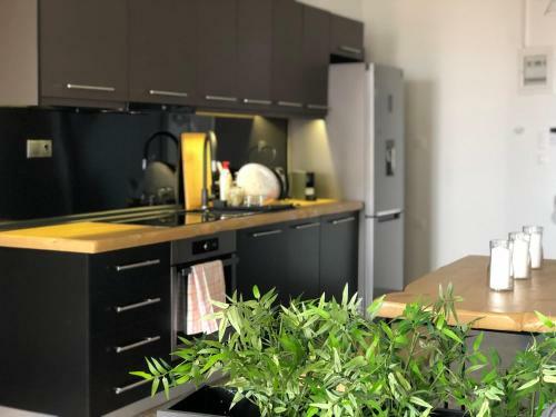 Luxury Apartment