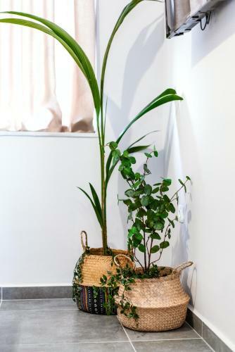 Unique Experience Apartment?s