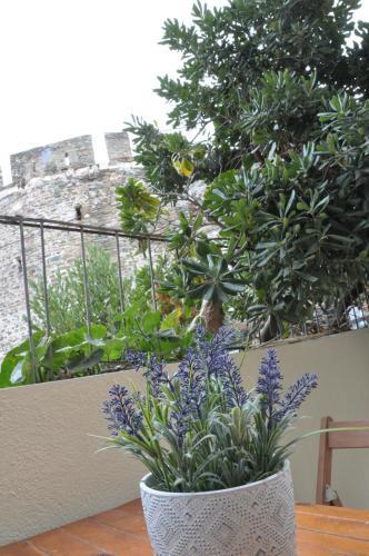 Apartamento Frida's House In Old Town