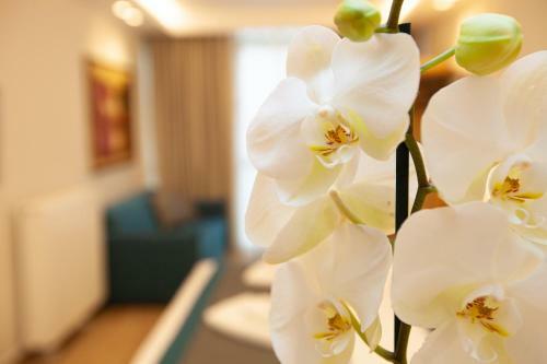 Apartamento No21 Luxury Suites
