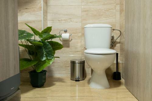 Apartamento Perfect Stay Central Suite