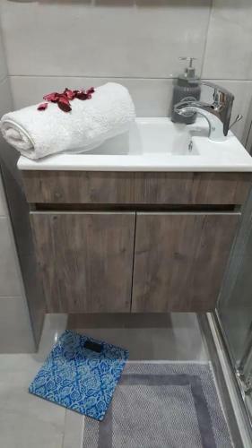 Downtown City Apartment