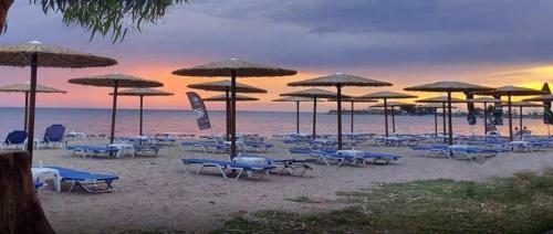 New! By The Sea Apartment Rohini