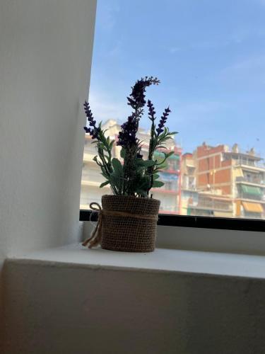 Apartamento Jordans Rooms 4