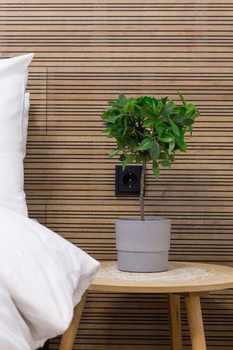 Apartamento K2 Suite