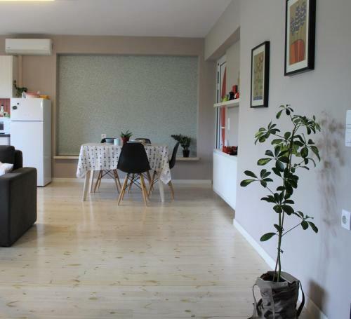 Red Vinyl Apartment