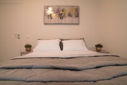 Lodge Luxury Apartments