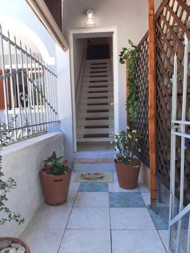 Zante Modern Apartment