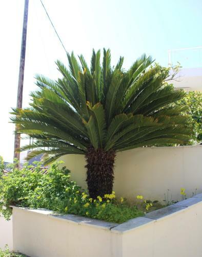 Zakynthos Port View Apartment