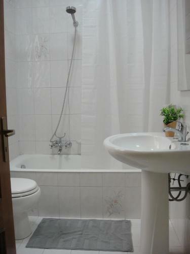 Karme Holiday Apartment