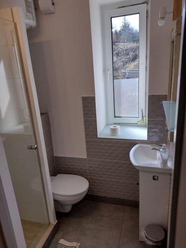 Apartamento Sudety Hut 3