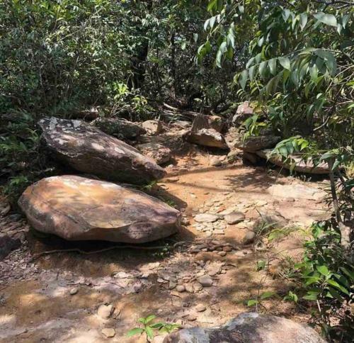 Casa Canastra Maria Costa +ou- 8km Do Gl�ria/ Mg