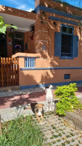 Hostal Hostel El Caminito Lgbtqia Plus