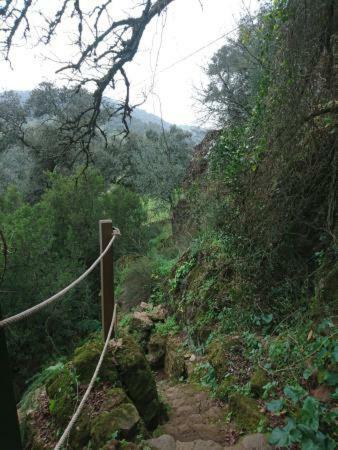 La Era De San Bl�s