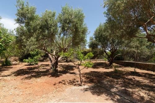 Villa Sisi View