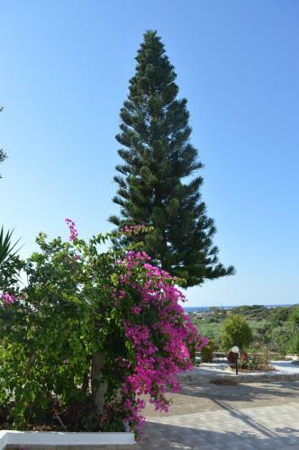 Agroturismo Villa Sk