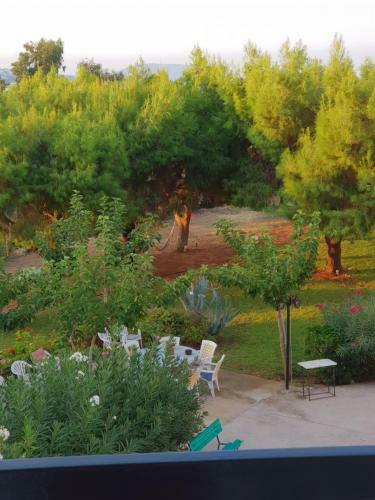 Apartamento Beachfront/lagonisi/sounio