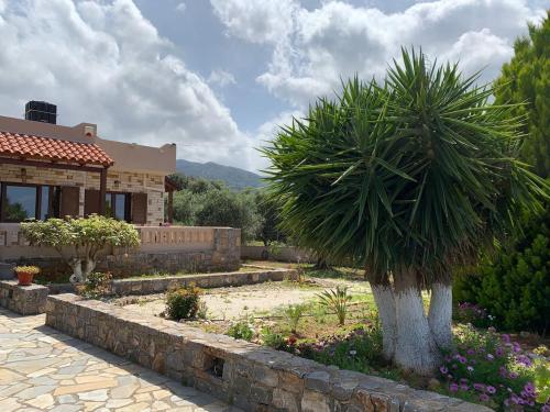 Bright Villa