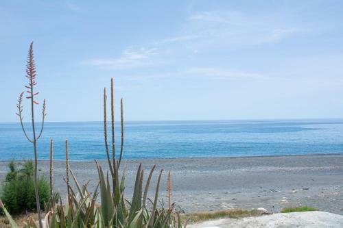 Apartamento Stella's Beach House