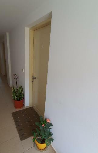 Apartamento Eirini Apts On The Beach