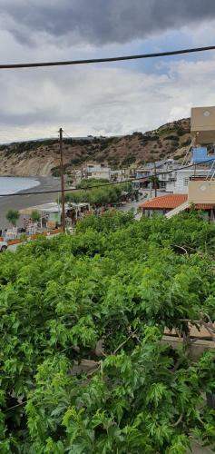 Apartamento Eirini Apts On The Beach