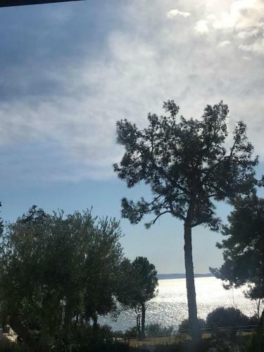 Halkidiki Trikorfo Luxury Maisonette