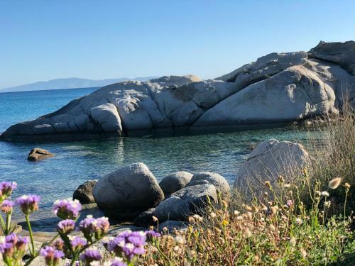 Naxian Wave Seaside Villa