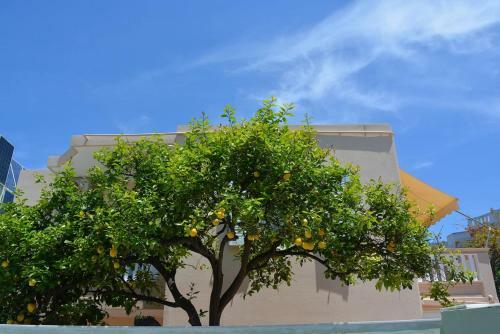 Apartamento House In Chania