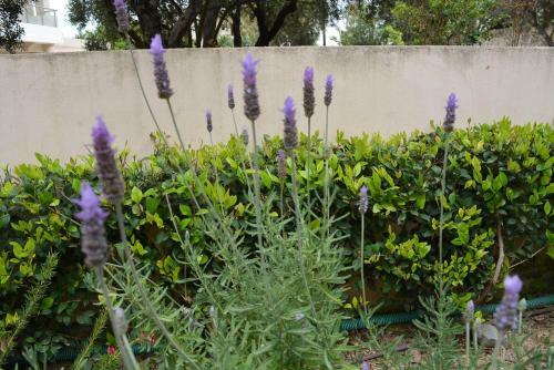 Apartamento House In Chania