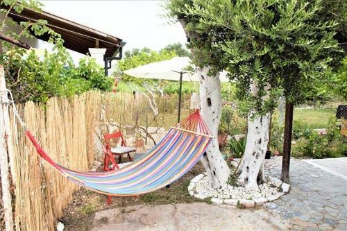 Apartamento Traditional Studio,agios Gordios