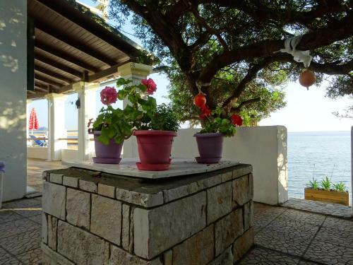 Josef And Marina House