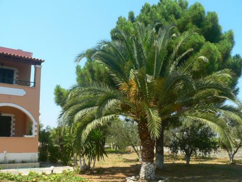 Villa Ts