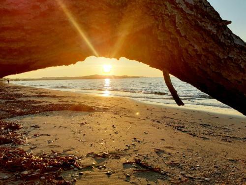 Apartamento Beachside Bungalows Acharavi Corfu