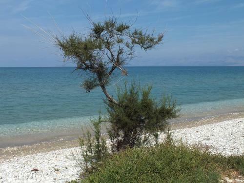 Apartamento Frosos Beachfront Maisonette Acharavi