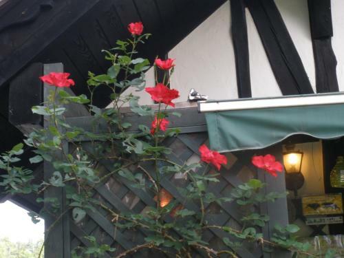 Posada Petit Hotel & Restaurant Old Age