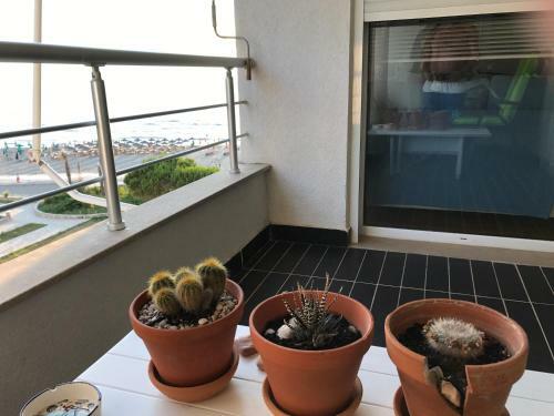 Apartments Bellavista