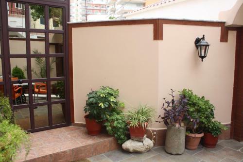 Hotel Pepeto