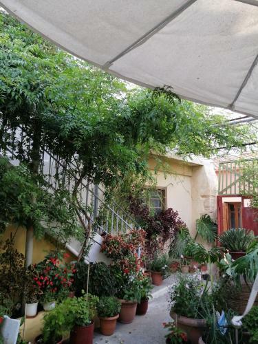 Apartamento "eirini" Traditional House Creta Archanes, ??????? ?????