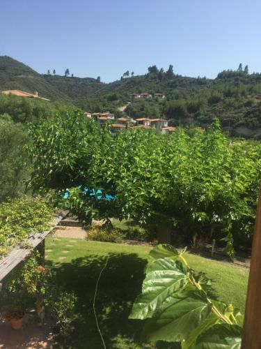 Apartamento Lux Villa Nature Resort