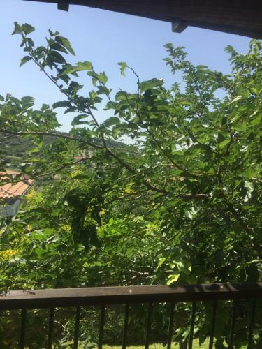Apartamento Lux Villa Nature Resort