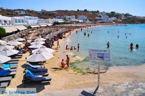 Mykonian Beauty(beach Spot)