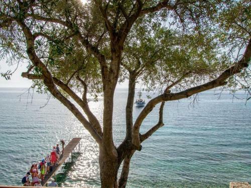 Luxury Holiday Home In Korfu With Private Swimming Pool